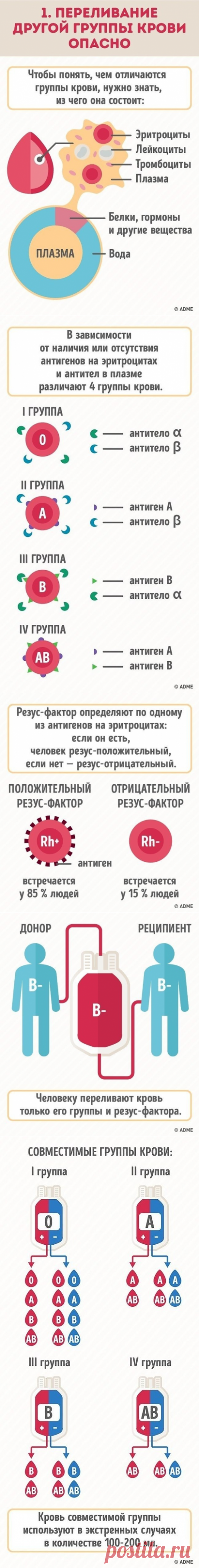 Почему нужно знать группу крови всех членов семьи?