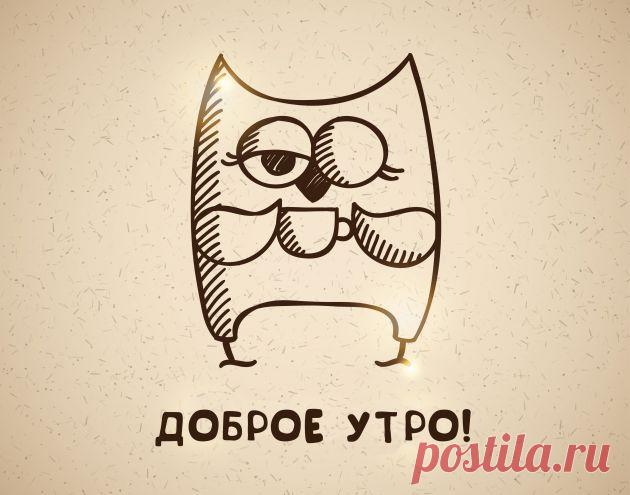 Как совам без проблем вставать по утрам - Лайфхакер