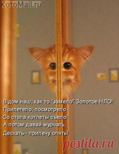 Золотое НЛО. | KotoMail.ru