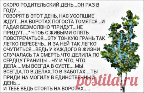 (38) Одноклассники