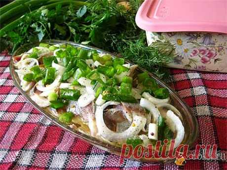 Сельдь с луком в горчичной заливке