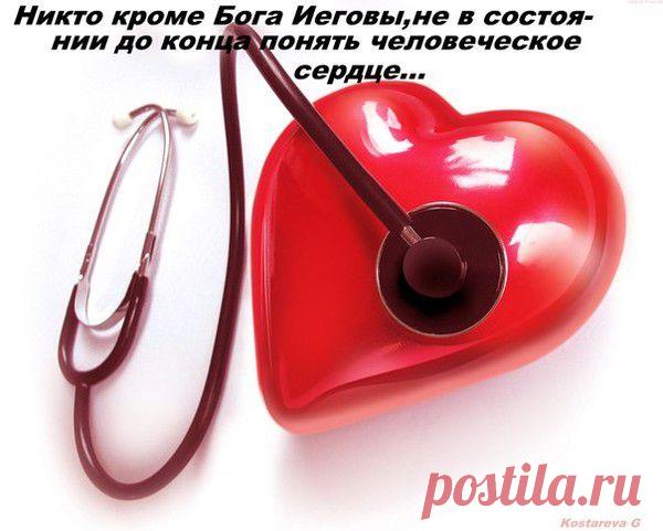 Мой Мир@Mail.Ru