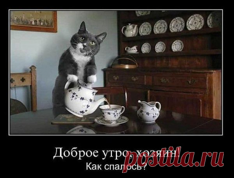 Группа: Хохотушки