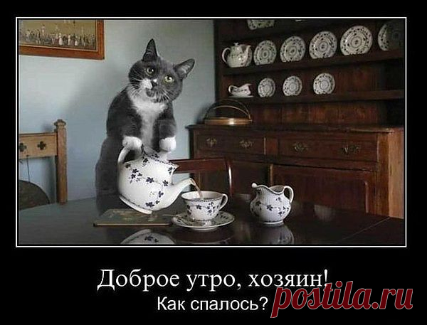Группа: Хохотушки