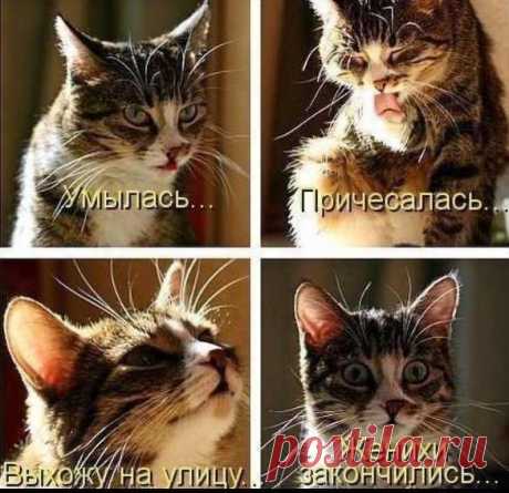 Мой Мир@Mail.Ru