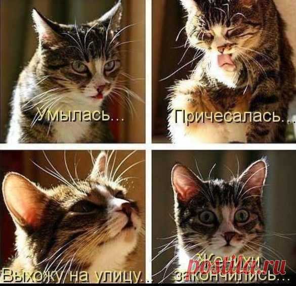 Мой Мир@Mail.Ru