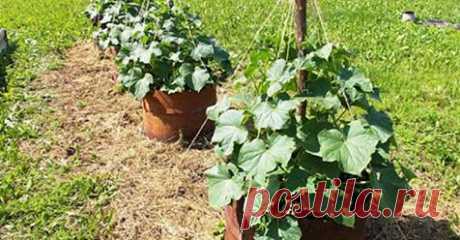 (1) Facebook