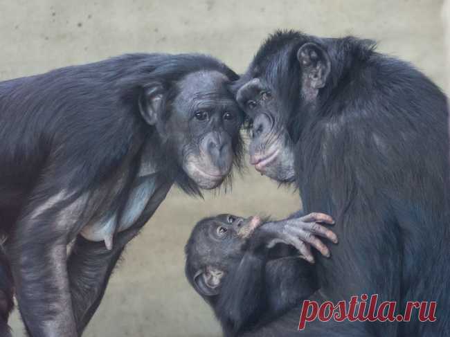 12 животных, которым есть что рассказать людям о любви и страсти