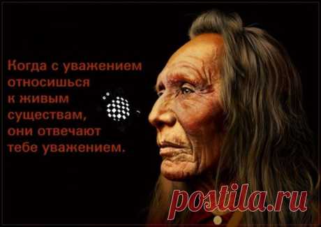 Индейские пословицы, способные перевернуть ваше мировоззрение