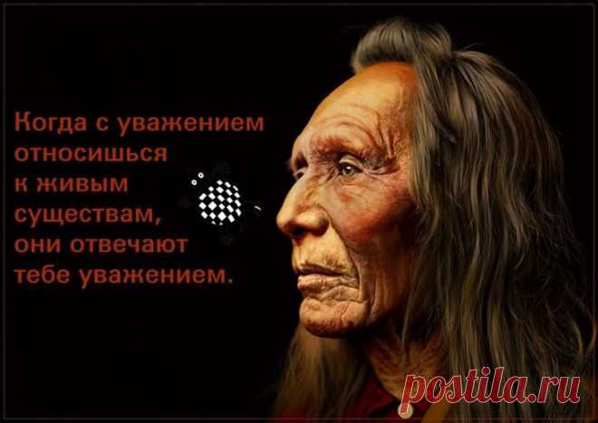 Индейские пословицы, способные перевернуть ваше мировоззрение