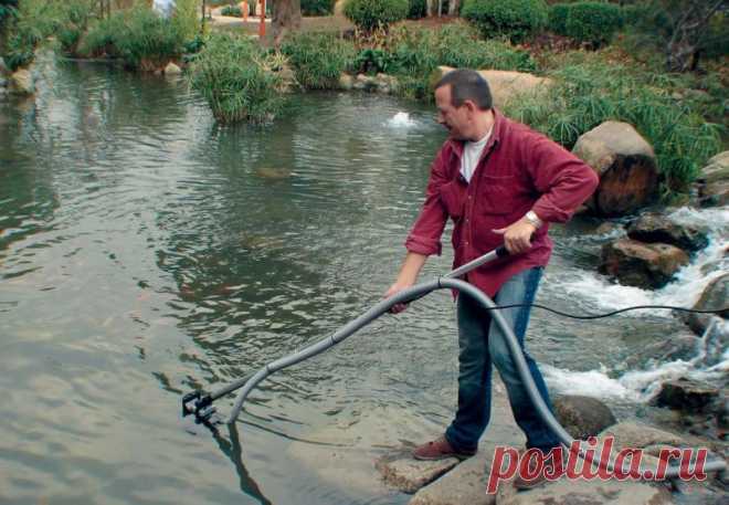 Как очистить озеро: берег и траву, как от водорослей