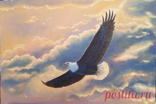 Картина Парящий орёл.. Размеры: 50x40, Год: 2018, Цена: 4500 рублей Художник Борисова Елена Вячеславовна