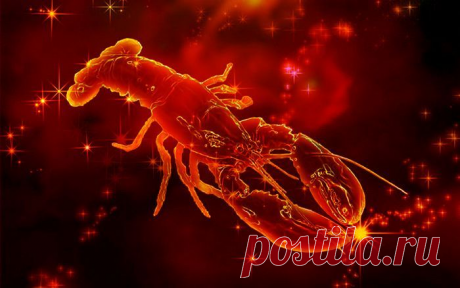 Что подарить Раку (22.06-22.07) на день рождения: характеристика знака зодиака и идеи подарков для него | Шоколадная фабрика «Конфаэль» | Дзен