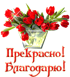 Города мои, города...