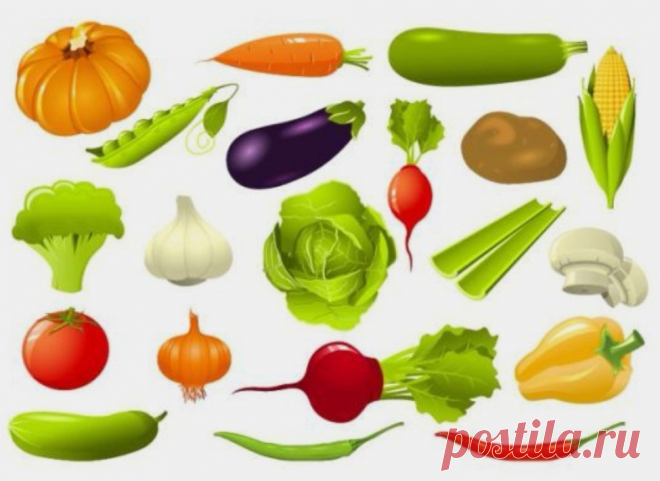 Что полезно в пост? Топ-8 продуктов | Foody | Яндекс Дзен