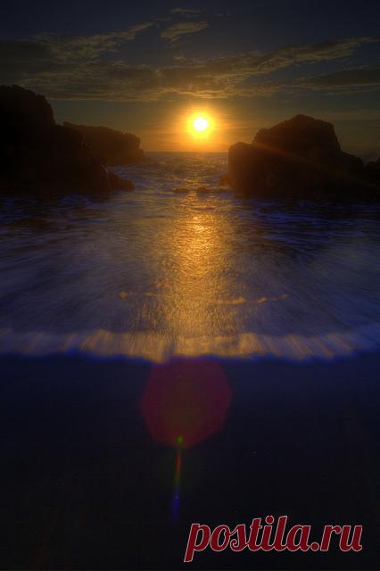 B U T T E R F L Y — oculi-ds: 戲日，鬥潮 by PS兔~兔兔兔~ on Flickr.