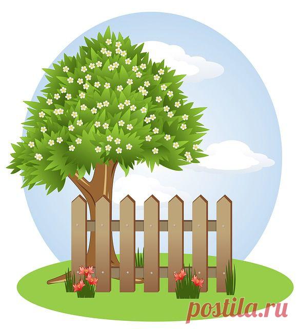 Free Illustration: Vector, Background, Spring, Winter - Free Image on Pixabay - 163531