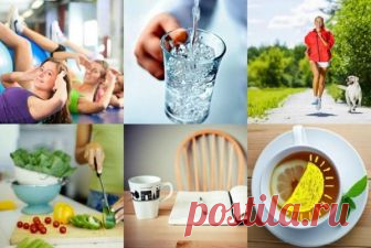 5 утренних привычек, которые способствуют похудению | ПП, ДИЕТЫ, ПОХУДЕНИЕ | Яндекс Дзен
