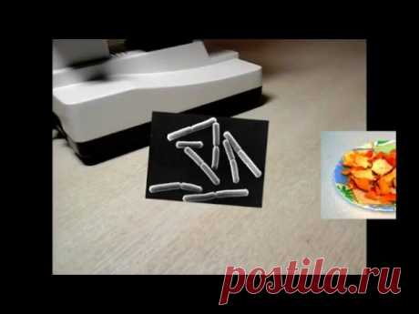 Сенная палочка(Bacillus subtilis)