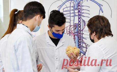 Минздрав заявил о росте числа бюджетных мест в медвузах на 20%. Количество бюджетных мест в медицинских университетах России по программам специалитета, бакалавриата и магистратуры увеличилось на 20% в период с 2019 по 2022 год, передает ТАСС со ссылкой на пресс-службу Минздрава.