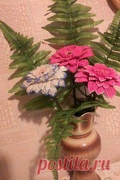 Одноклассники