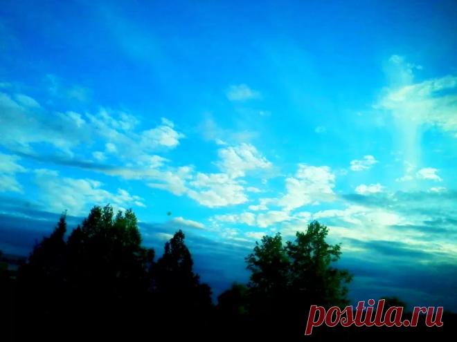 Капкан Тайга КПН Советы Охотнику - Журнал полезных советов