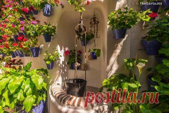 patios cordobeses interiores bonitos - Buscar con Google