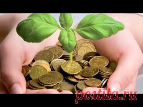 Как привлечь деньги в дом?С помощью простого трюка!