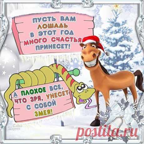Ольга Богомолова