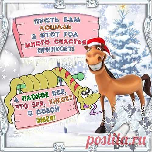 Ольга Богомолова