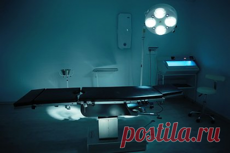 В Финляндии поймали уличного кота-людоеда. В Финляндии сотрудники больницы в провинции Уусимаа поймали кота-людоеда. Животное, которое питалось останками в морге, изловили работники медицинского учреждения в городе Вантаа. По их данным, кот проникал в так называемое временное хранилище — обычное складское помещение с холодильниками.