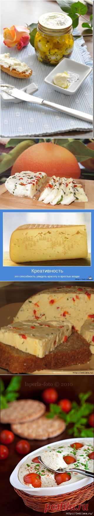 10 рецептов лучших домашних сыров