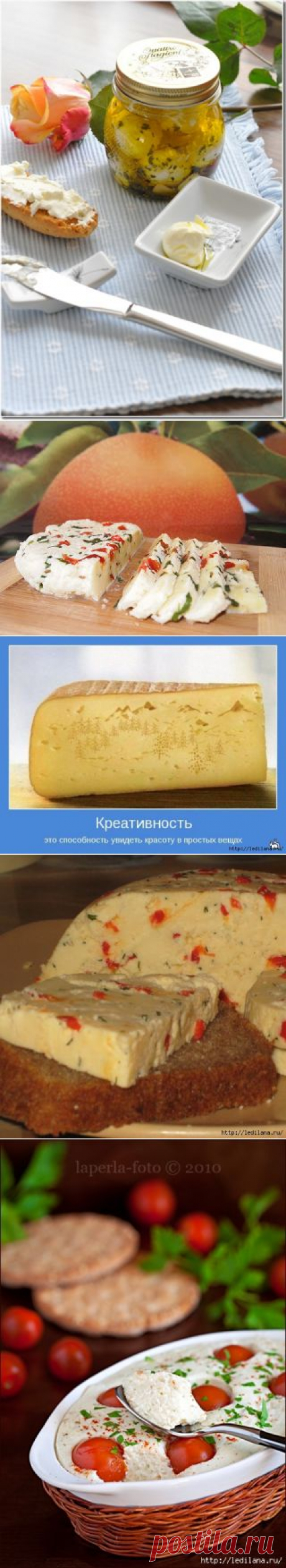 10 рецептов лучших домашних сыров