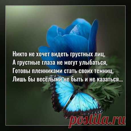 Никто не хочет видеть грустных лиц, а грустные глаза не могут улыбаться…
Фото с просторов интернета Фото с просторов интернета Никто не хочет видеть грустных лиц, А грустные глаза не могут улыбаться, Готовы пленниками стать своих темниц, Лишь бы весёлыми не быть и не казаться. Печаль на сердце словно камень тянет вниз, Но отпустить её на вряд ли согласятся. Им бы подняться на высокий самый мыс, Но […]
Читай дальше на сайте. Жми подробнее ➡
