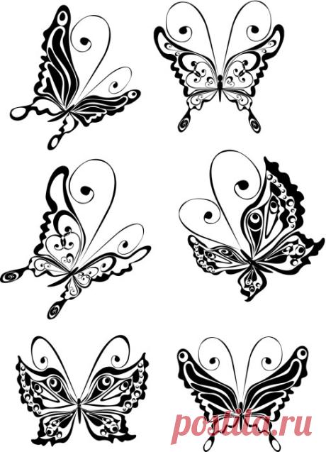Butterfly Tattoo Design Ideas