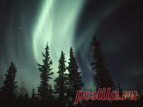 Подписывайтесь на нас: https://fotostrana.ru/public/233467 ;-) Потрясающая подборка фотографий ...