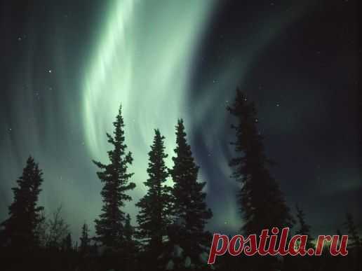Подписывайтесь на нас: http://fotostrana.ru/public/233467 ;-) Потрясающая подборка фотографий ...