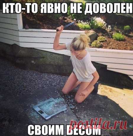 Любимая смехопанорама / Писец - приколы интернета