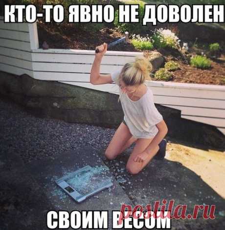 Любимая смехопанорама / Писец - приколы интернета