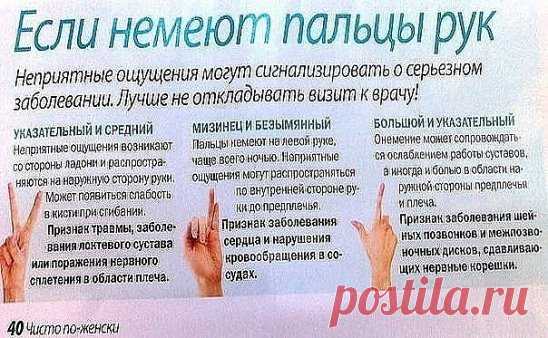 НАРОДНЫЕ СРЕДСТВА ПРОТИВ ОНЕМЕНИЯ РУК И НОГ
Онемение рук — симптомы, которые могут сопровождать различные заболевания.Поэтому очень важно сделать обследование и выявить причину онемения рук. Артрит, артроз, остеохондроз….
Причин может быть множество. Онемение рук сопровождают боли, которые порой невыносимы.
Народная медицина советует облегчить недуг с помощью простых и доступных средств.
Фитотерапевты утверждают, что растение донник лекарственный помогает устранить онемение рук. Щепотку высуш