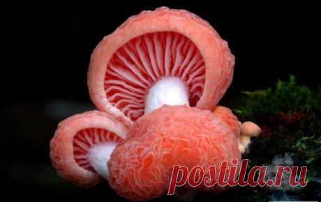 Охота и рыбалка