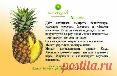ПЛЕЙКАСТЫ
татьяна шерепенко (Рожина)