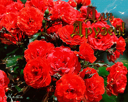 Архив открыток отправленных 8 Мая 2016 года. Добавили: Леонора Елена Пере, Gegam Gya, Людмила Людмила, Ярослав Баган, Nina Konisidi, Татьяна Калошина