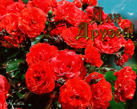 Архив открыток отправленных 8 Мая 2016 года. Добавили: Леонора Елена Пере, Gegam Gya, Людмила Людмила, Ярослав Баган, Nina Konisidi, Татьяна Калошина