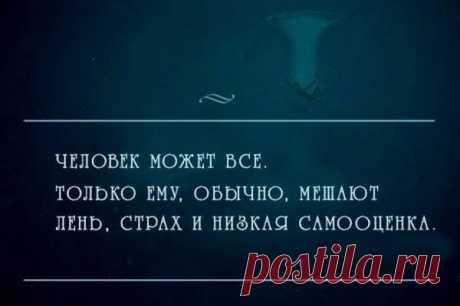 Цитаты, умные мысли / Pinme