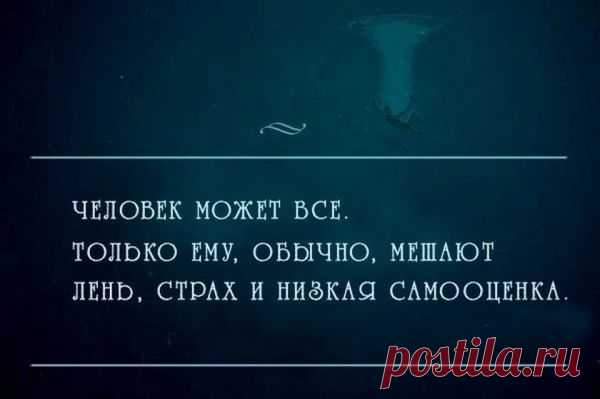 Цитаты, умные мысли / Pinme