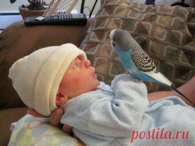 h-212.jpg (700×525)