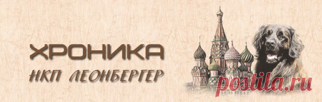 Предстоящие Мероприятия