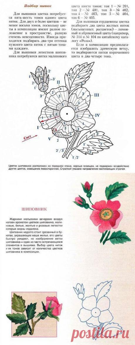 Pinterest