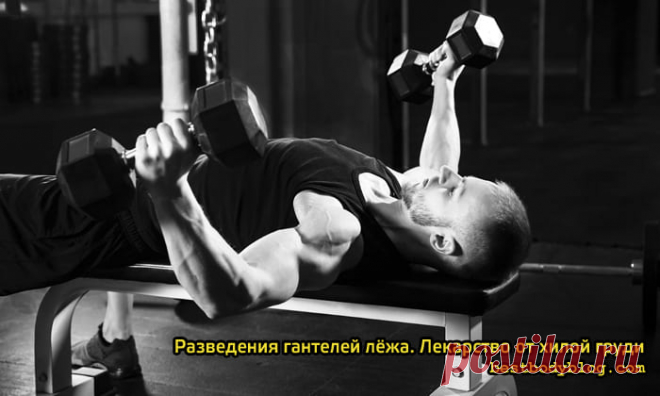 Разведения гантелей лежа. Лекарство от хилой груди | bestbodyblog.com